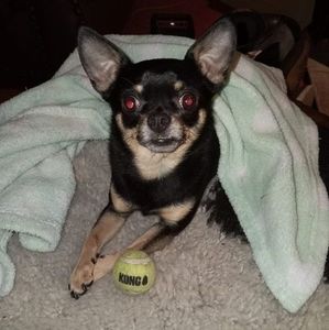 Meet your Posher, Caroline